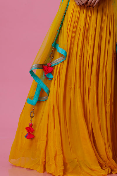 DIYAA - Embroidered Anarkali Gown